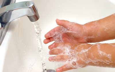 Washing Hands: Stop the Spread