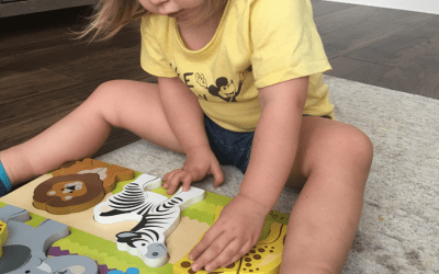 Teaching Joint Attention Through Play