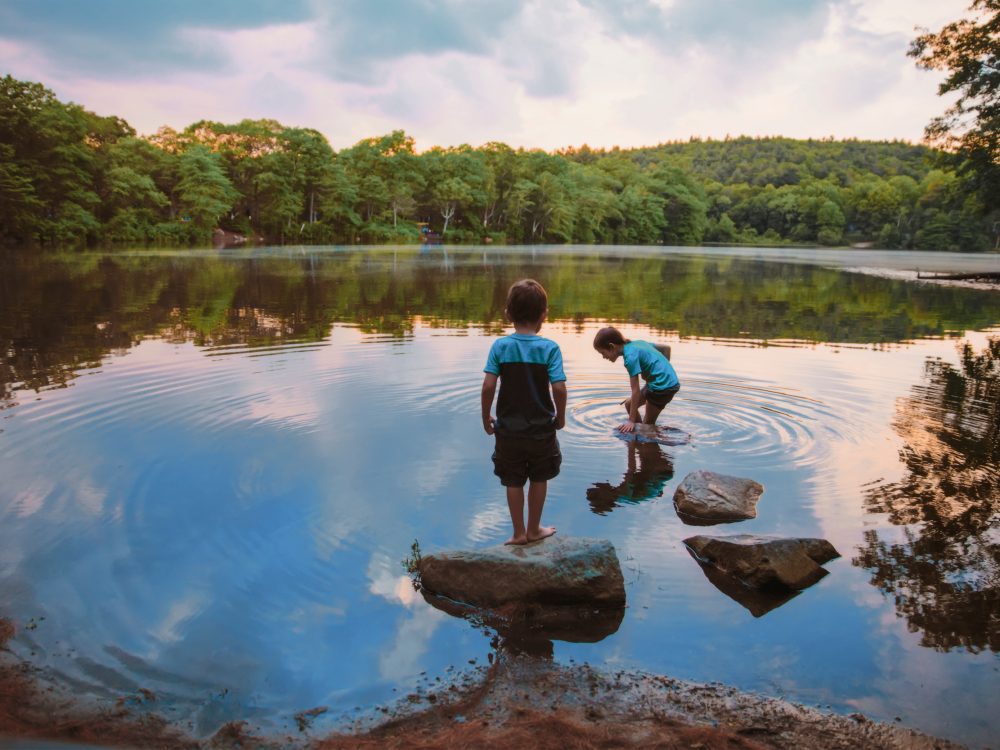 children caught fish in the lake. boys playing near the water children caught fish in the lake. boys playing near the water